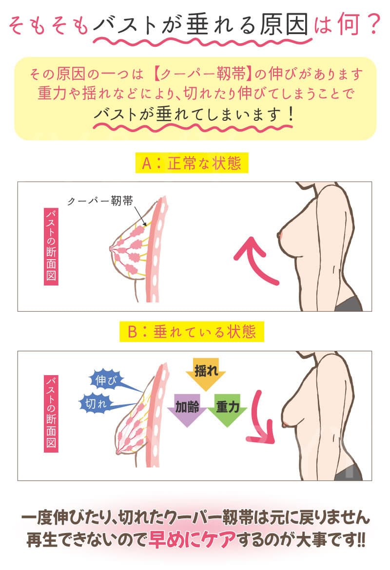 盛れる見せブラノンワイヤー育乳レースナイトブラ